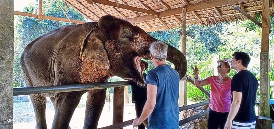 Khao Lak: Khao Sok Private Ethical Elephants & Rafting - Bamboo rafting on the Sok River