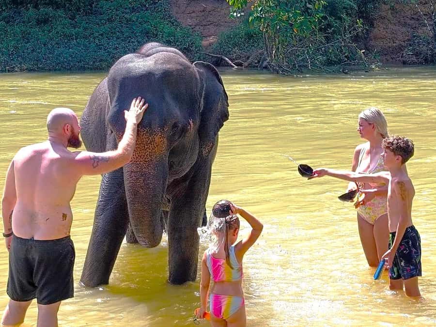 Khao Lak: Khao Sok Private Ethical Elephants & Rafting - Guides, group size, and the value of personal service