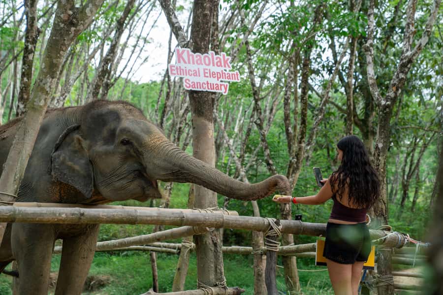 Khao Lak Multi-Adventure: Bamboo Rafting, ATV & Elephants - The elephant visit needs careful attention