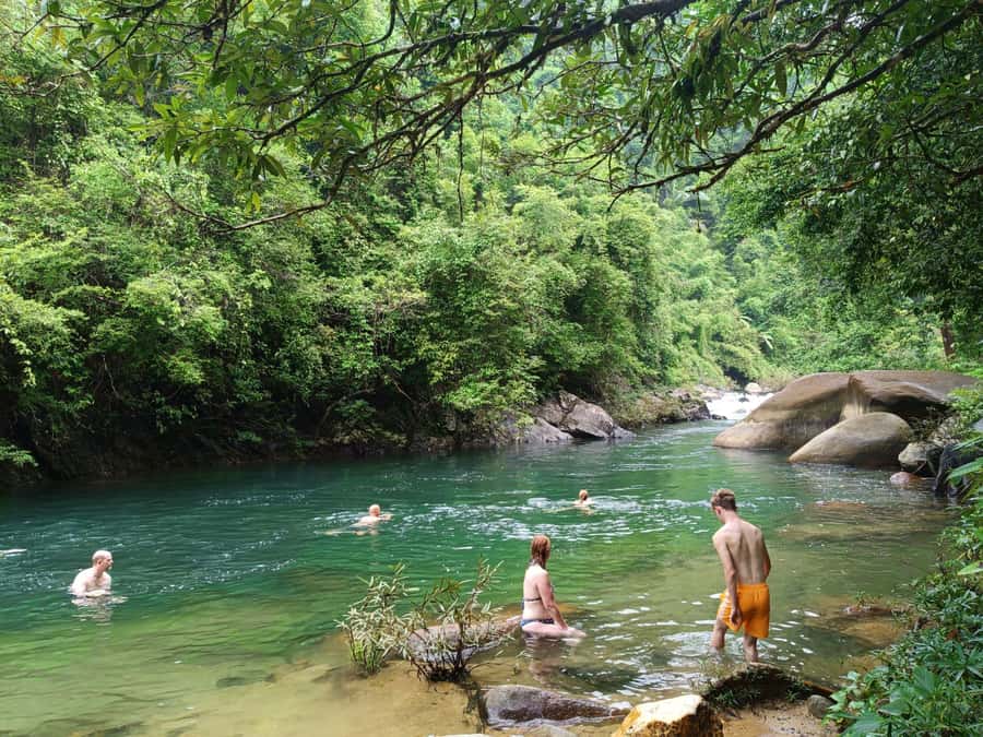 Khao Lak: Private Khao Sok Jungle Safari with Bamboo Rafting - Thai lunch after the forest