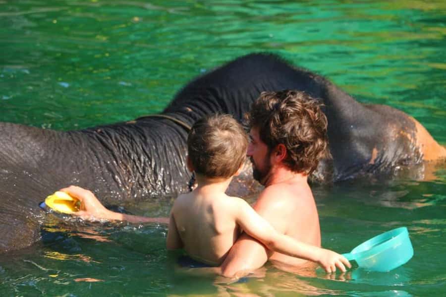 Khao Lak: Rafting, Elephant Bathing & Sea Turtle Center Tour - Key points to know before booking
