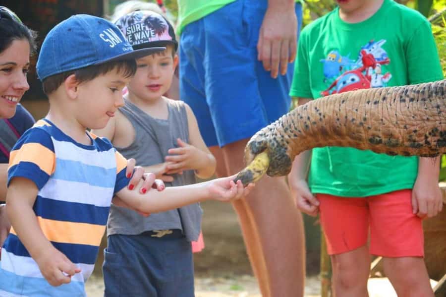 Khao Lak: Rafting, Elephant Bathing & Sea Turtle Center Tour - Ton Pling Waterfall: refreshing, but seasonal