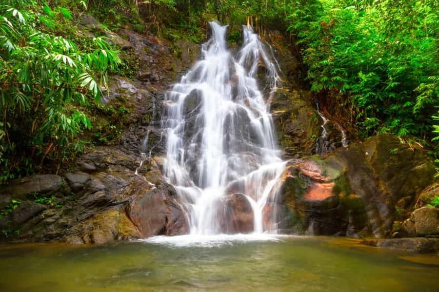 Khao Lak: Rafting, Elephant Bathing & Sea Turtle Center Tour - The elephant experience and what to expect