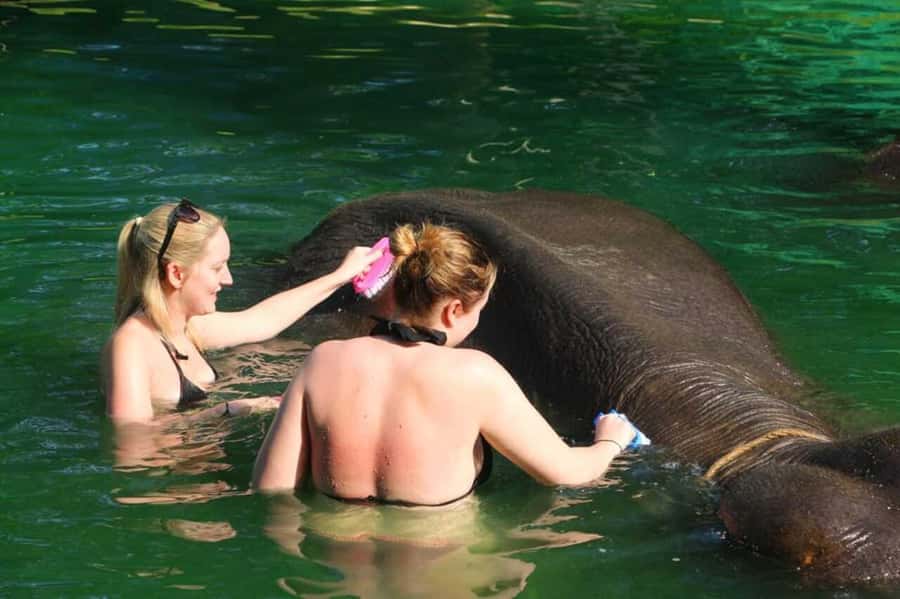 Khao Lak: Rafting, Elephant Bathing & Sea Turtle Center Tour - Guides, group rhythm, and value