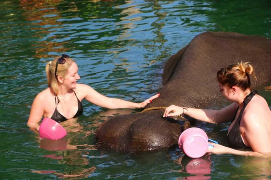 Khao Lak: Rafting, Elephant Bathing & Sea Turtle Center Tour - Pickup from Khao Lak and the morning plan
