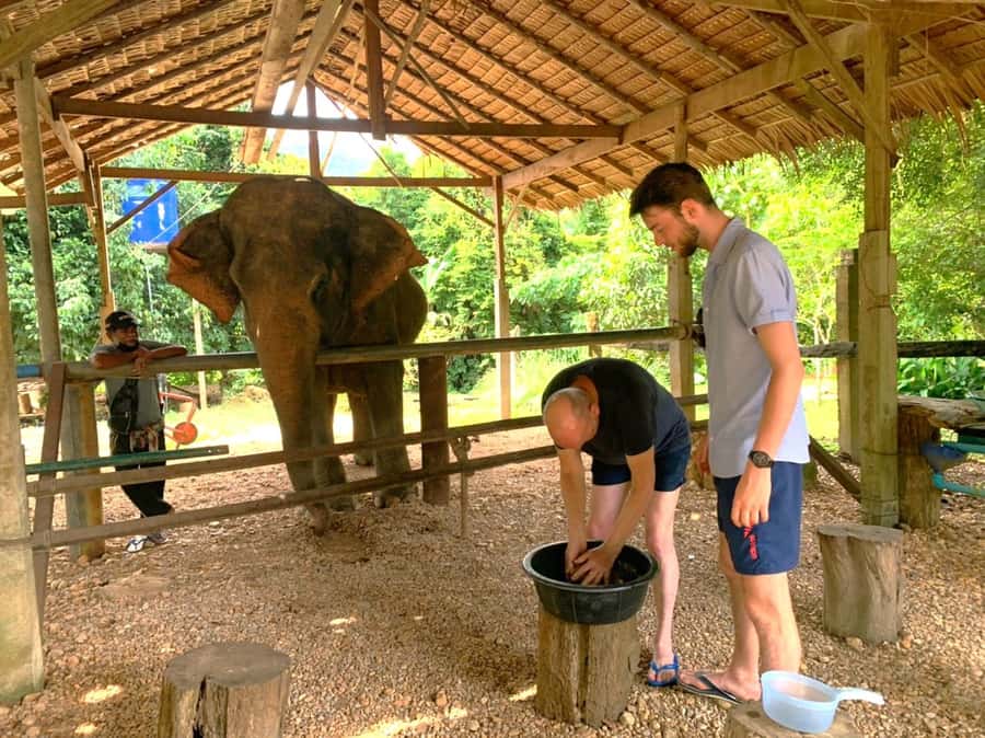 Khao Sok: Elephant Day Care, & Bamboo Rafting Day Tour - Key points to know before booking