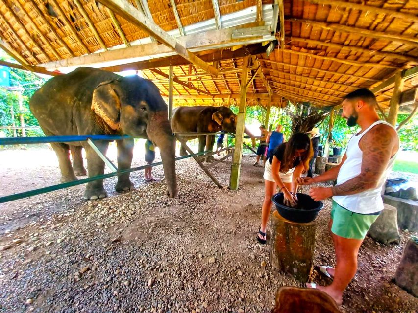 Khao Sok: Elephant Day Care, & Bamboo Rafting Day Tour - Should you book this Khao Sok tour?