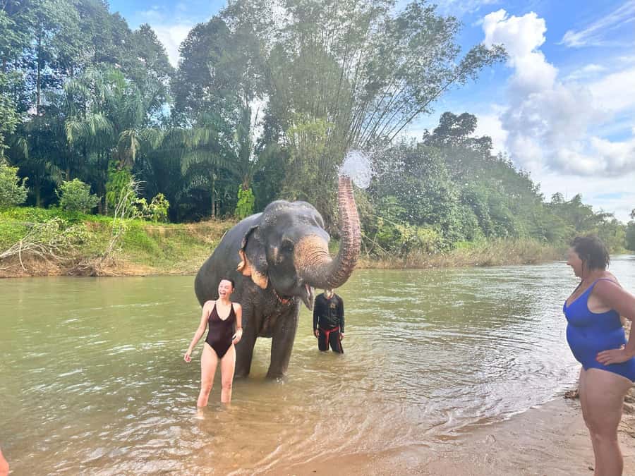 Khao Sok: Elephant Day Care, & Bamboo Rafting Day Tour - Why the elephants are the heart of the morning