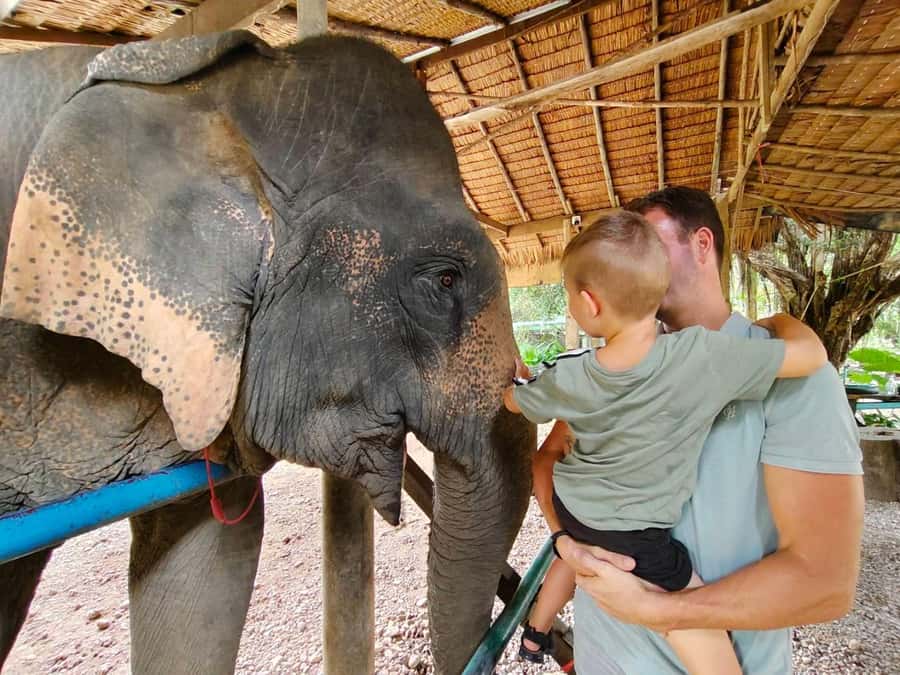 Khao Sok: Elephant Day Care, & Bamboo Rafting Day Tour - Is $79 good value for five hours?