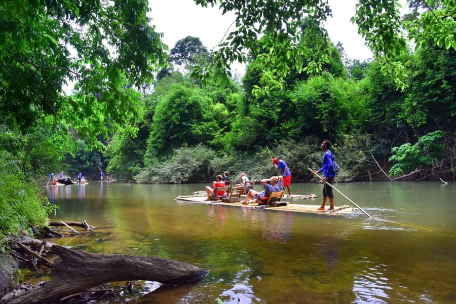 Khao Sok: Elephant Rescue Center with Lunch & Bamboo Rafting - Meeting the rescued elephants