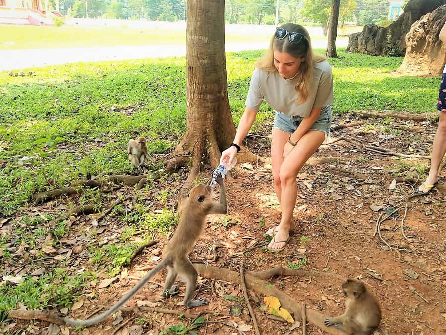 Khao Sok: Elephant Rescue Center with Lunch & Bamboo Rafting - Is the $84 price good value?