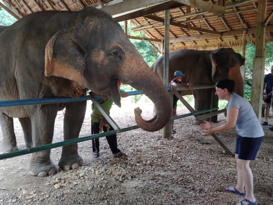 Khao Sok: Elephant Rescue Center with Lunch & Bamboo Rafting - Khao Sok Viewpoint and the first mountain views