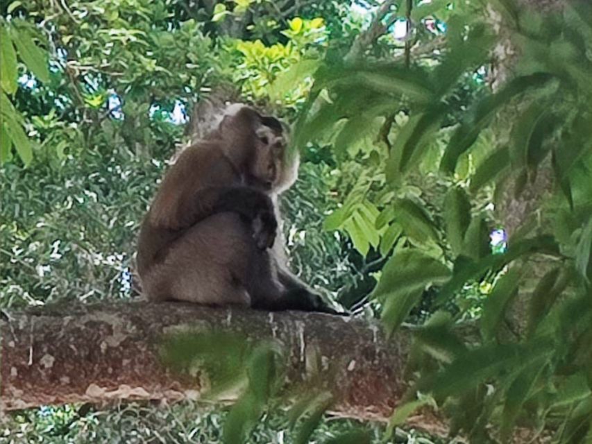 Khao Sok Jungle Day Trip - Jungle Trekking & Bamboo Rafting - Why this Khao Sok day works so well
