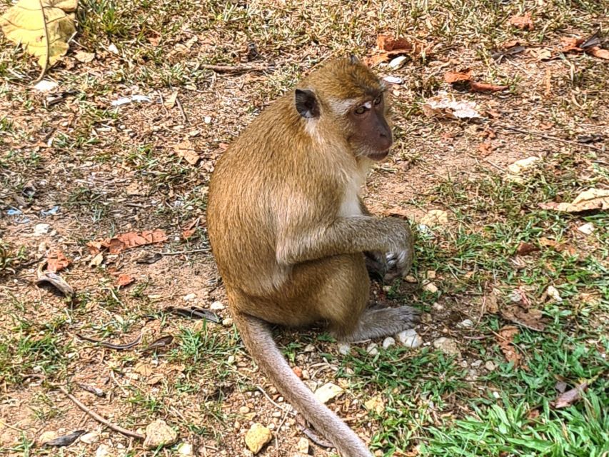 Khao Sok Jungle Day Trip - Jungle Trekking & Bamboo Rafting - A bamboo raft on the Sok River