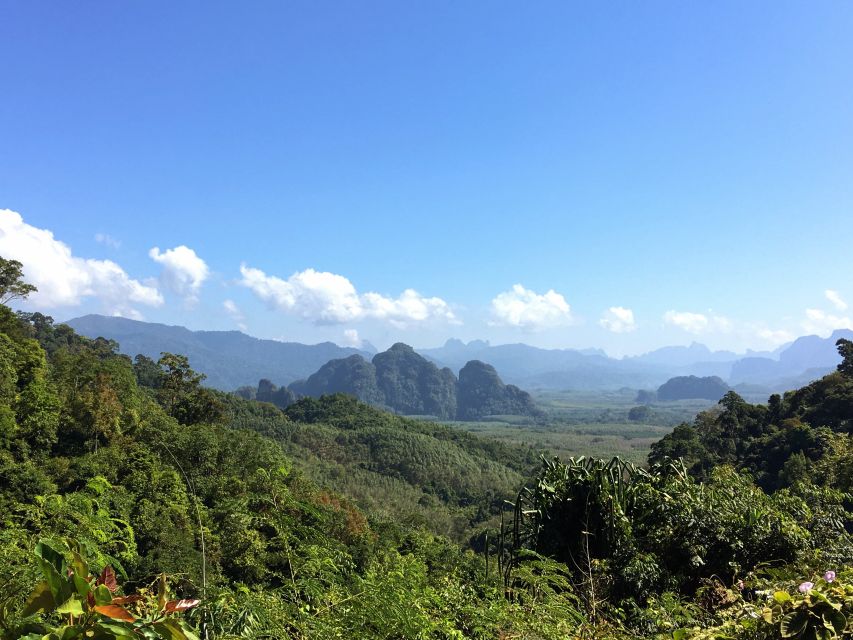 Khao Sok Jungle Day Trip - Jungle Trekking & Bamboo Rafting - Khao Sok Viewpoint sets the scene