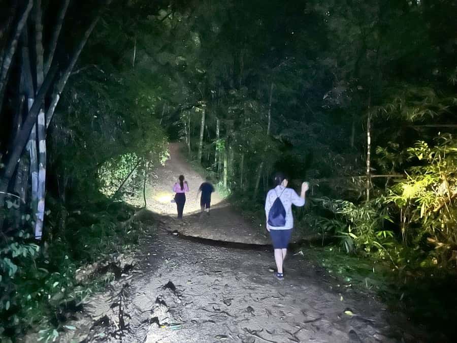 Khao Sok Jungle Sunset Wildlife Encounter & Bamboo Rafting - Key points to know before you go