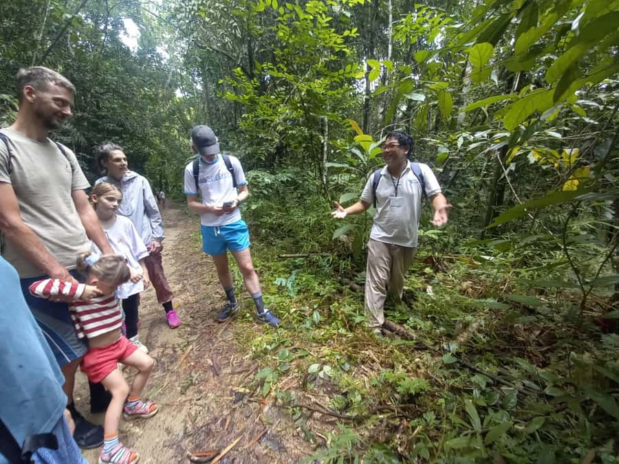 Khao Sok Jungle Sunset Wildlife Encounter & Bamboo Rafting - A quiet 1.5-hour float on the Sok River