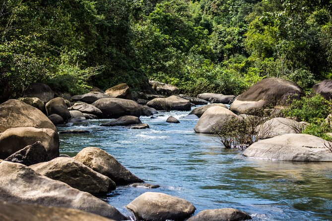 Khao Sok Rainforest | Hiking & Bamboo Rafting - What the $102.21 price gets you