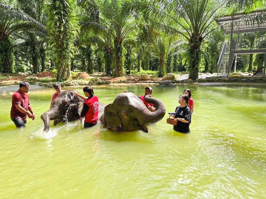KhaoLak :White Water Rafting ,Monkey Cave, Elephant Bathing - A full adventure day from Khao Lak