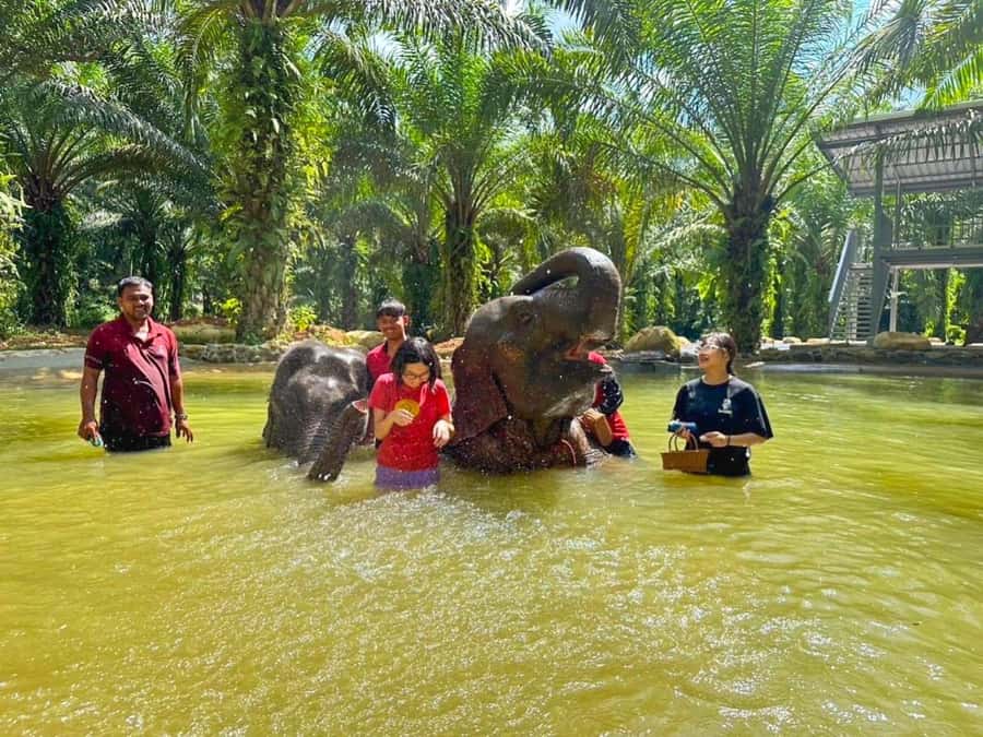 KhaoLak :White Water Rafting ,Monkey Cave, Elephant Bathing - A 200-meter zipline through the trees