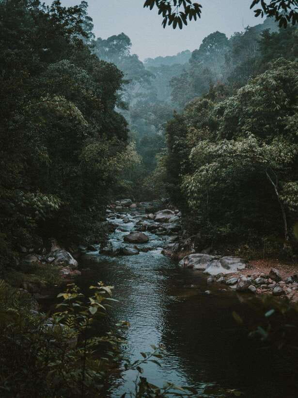 KL: Day Tour with Rafting, Fireflies, and Meals - Key points at a glance