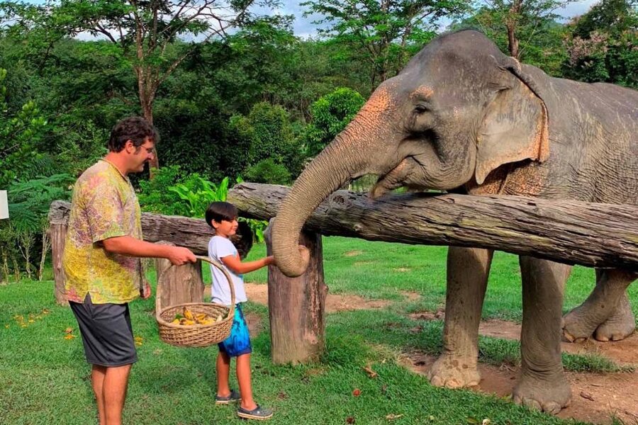Krabi: Khao Sok Elephant Sanctuary, Rafting Tour, and Lunch - Key points at a glance