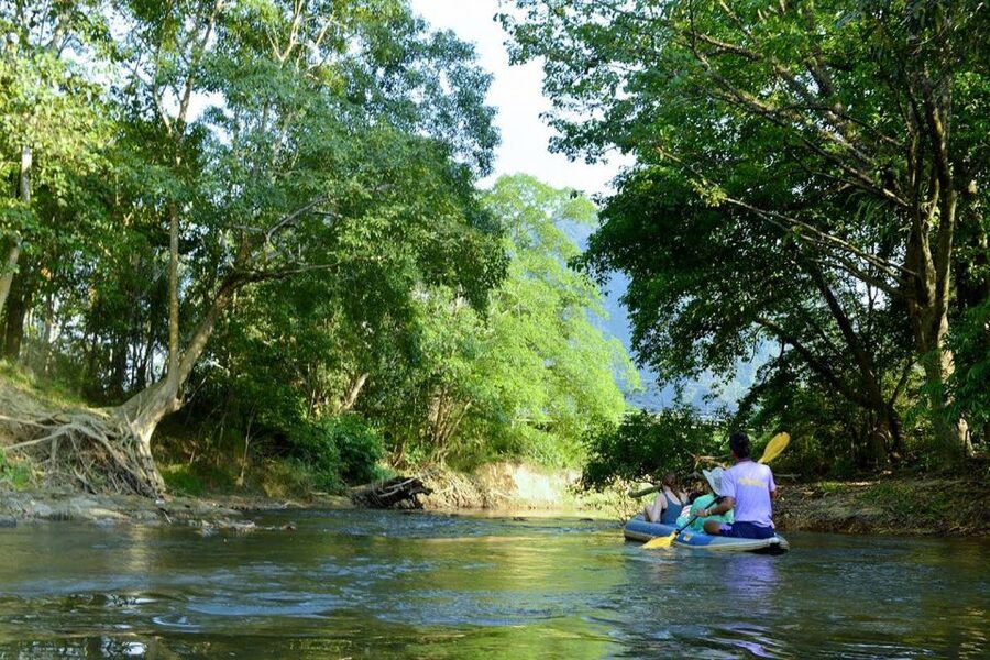 Krabi: Khao Sok Elephant Sanctuary, Rafting Tour, and Lunch - Feeding and bathing the elephants