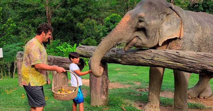 Krabi: Khao Sok Elephant Sanctuary, Rafting Tour, and Lunch - The morning drive from Krabi