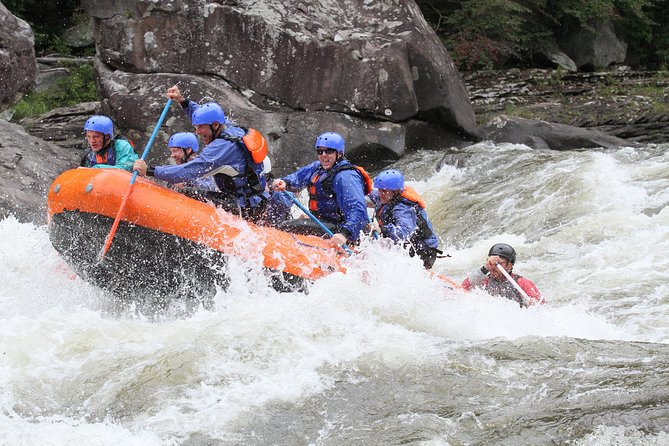 Lower Gauley River Whitewater Rafting Trip - Lower Gauley River Rafting at a Glance