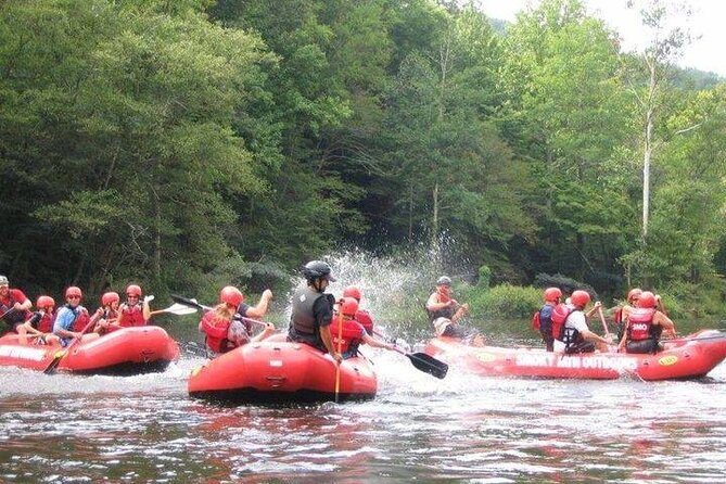 Lower Pigeon River Rafting Tour - What the $44.95 price gets you