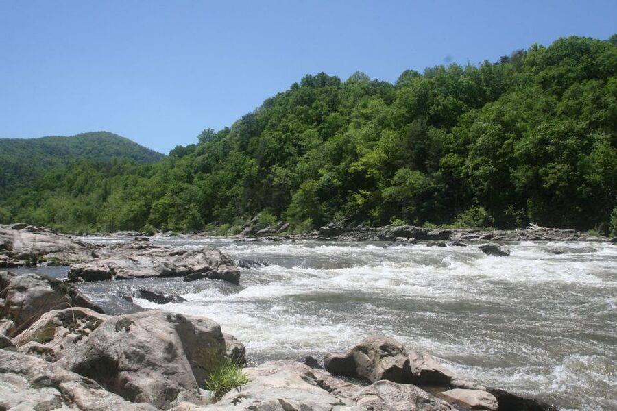 Marshall: French Broad Whitewater River Rafting Experience - Check-in, video, and the trip to the river
