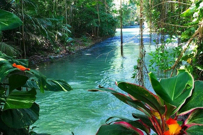 Martha Brae Rafting Adventure - Is $160 Per Person Good Value?