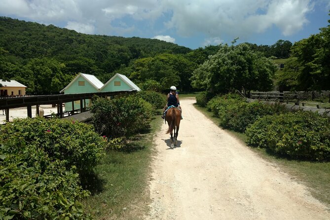 Martha Brae Rafting, Horseback Riding and Luminous Lagoon - Triple Treat - A Jamaican meal at Pepper’s Jerk Center