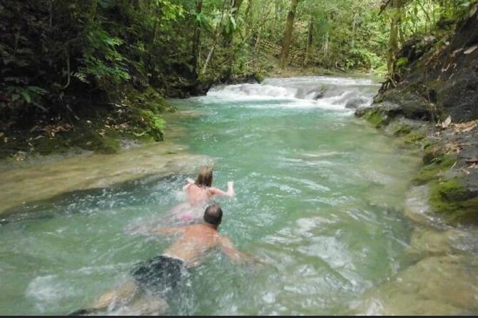 Mayfield Falls & Lethe River Bamboo Rafting/Limestone Massage - Plants, trees, and the stories behind them