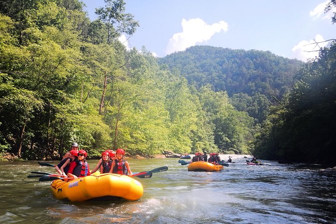Middle Ocoee River Rafting Adventure Tour - Five miles of real Ocoee River whitewater