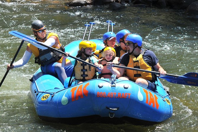 Milk Run Family Rafting Trip - On the Arkansas River: easy current and Rocky Mountain views