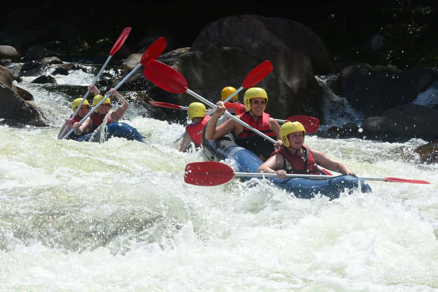 Mission Beach: Tully River Half Day White Water Rafting - What the Tully River half-day trip is really like