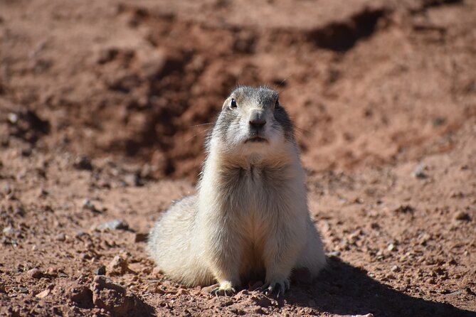 Moab Combo: Colorado River Rafting and Canyonlands 4X4 Tour - Fossil Point, Shafer Trail, and ancient rock art