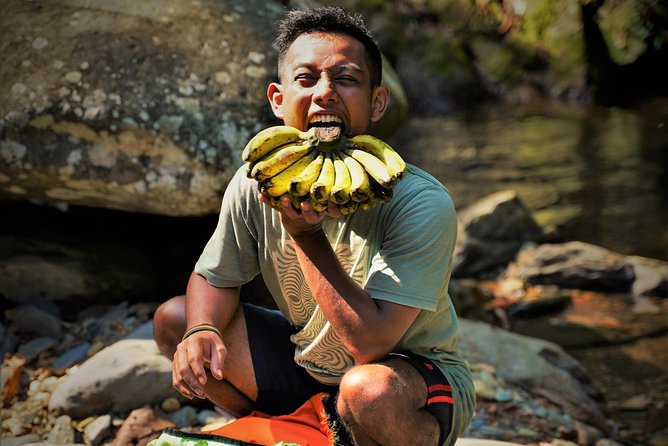 Monkey Business 2 days - 1 night Jungle Trekking (including rafting) - Walking into Gunung Leuser from Bukit Lawang