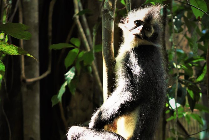 Monkey Business 2 days - 1 night Jungle Trekking (including rafting) - Rafting brings a change of pace