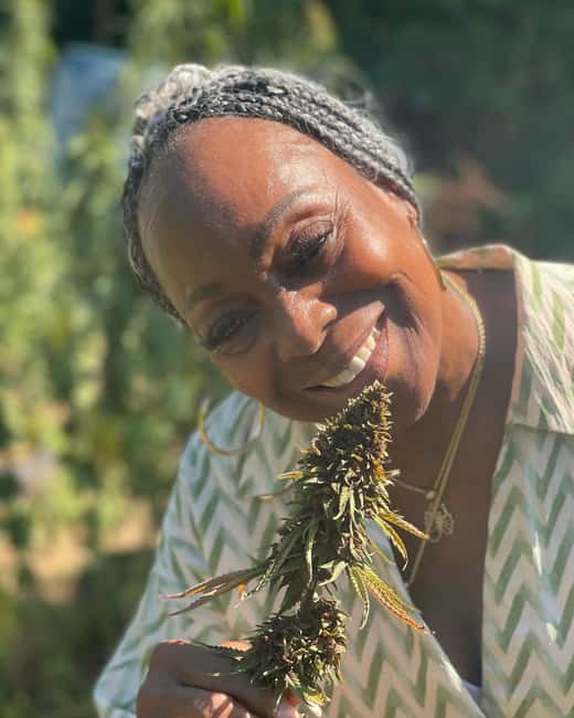 Montego Bay: Cannabis Farm, Bamboo Rafting, & Foot Massage - What the $186 price includes