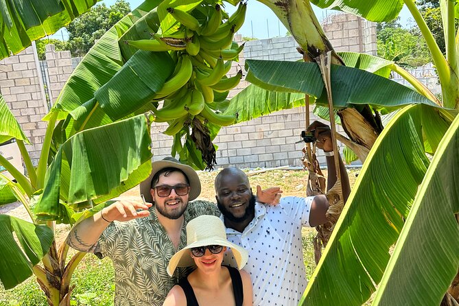 Montego Bay Sightseeing, Shopping and Bamboo Rafting - Lethe Estate and the gentle bamboo raft ride