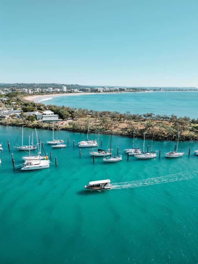 Mooloolaba: Adventure Rafting Turtle Tour - Key points to know before you book