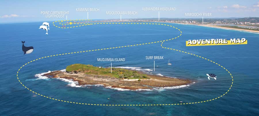 Mooloolaba: Adventure Rafting Turtle Tour - What the small boat changes
