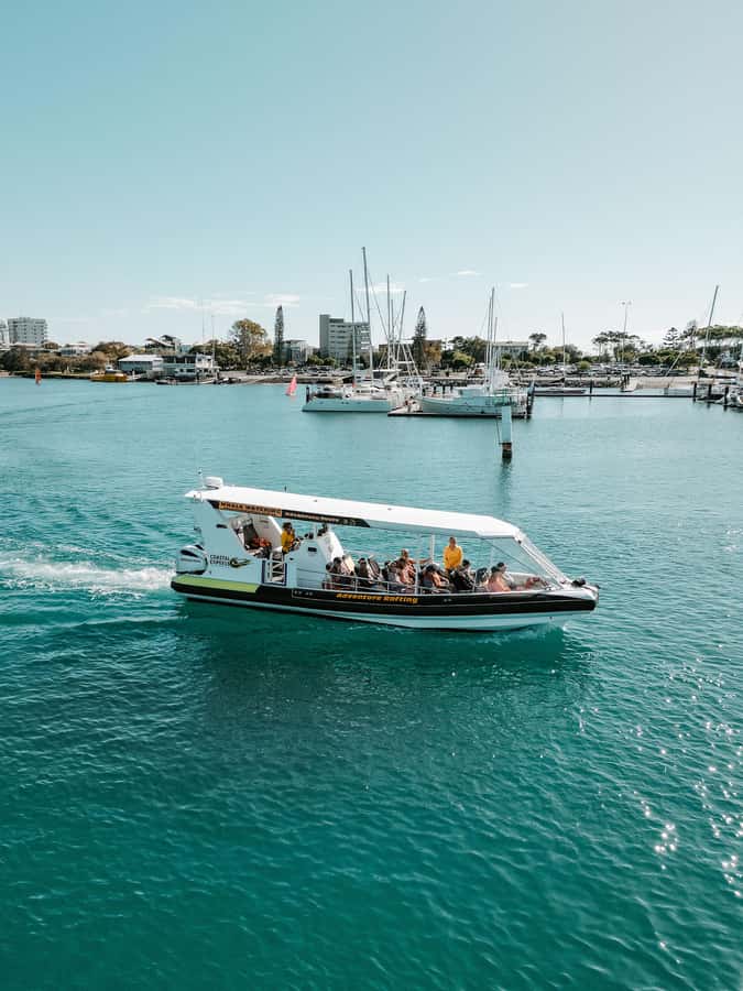 Mooloolaba: Adventure Rafting Turtle Tour - Is $48 a fair price?