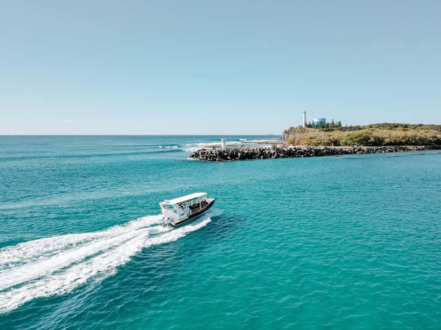 Mooloolaba: Adventure Rafting Turtle Tour - Who will enjoy this ride most?