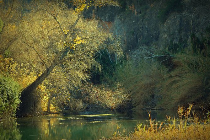 Murcia: Canyon of Almadenes Rafting, Caves & Photos - Los Abrigos del Pozo and the 8,000-year-old paintings