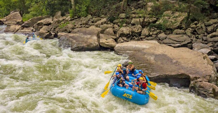 New River Gorge Whitewater Rafting - Lower New Full Day - Bus transfer and river instruction