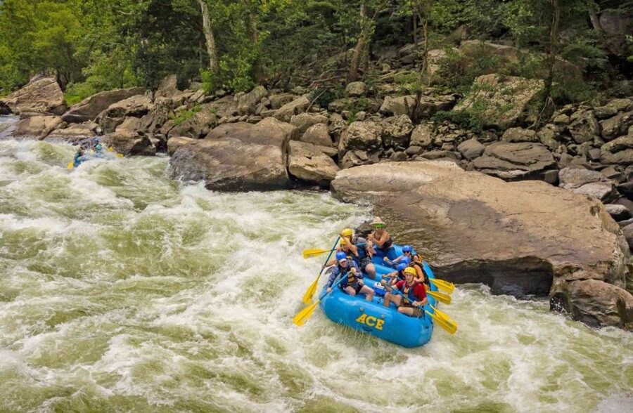 New River Gorge Whitewater Rafting - Lower New Full Day - What the $154 price includes