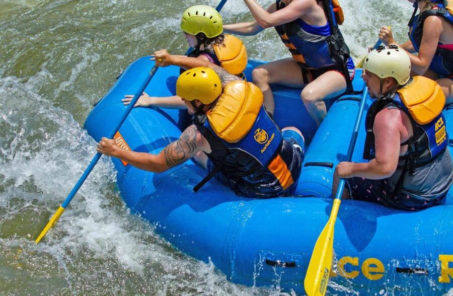New River Gorge Whitewater Rafting - Lower New Half Day - What the safety briefing means for you